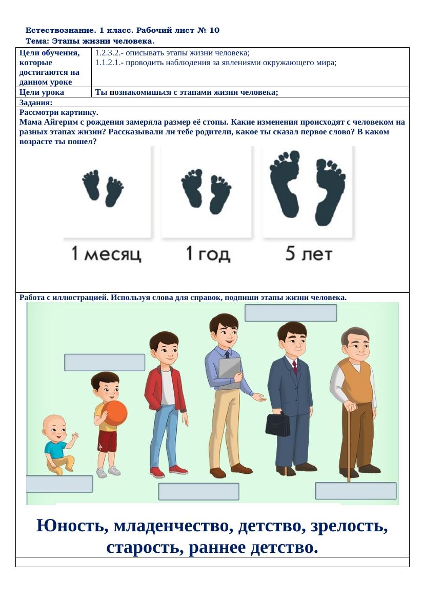 5 этапов жизни человека: изучаем с детьми в 1 классе