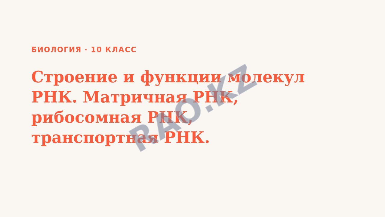 Презентация Биология 10 класс Строение и функции молекул РНК. Матричная РНК, рибосомная РНК, транспортная РНК.