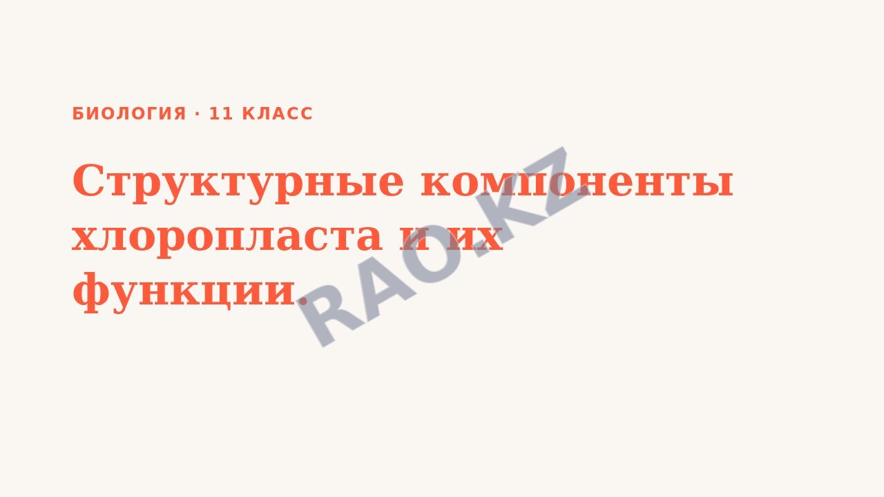 Презентация Биология 11 класс Структурные компоненты хлоропласта и их функции.