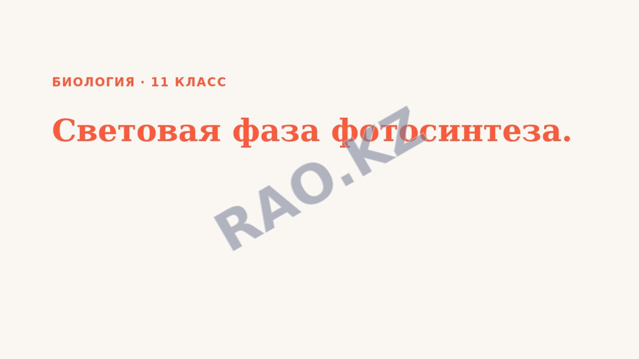 Презентация Биология 11 класс Световая фаза фотосинтеза.