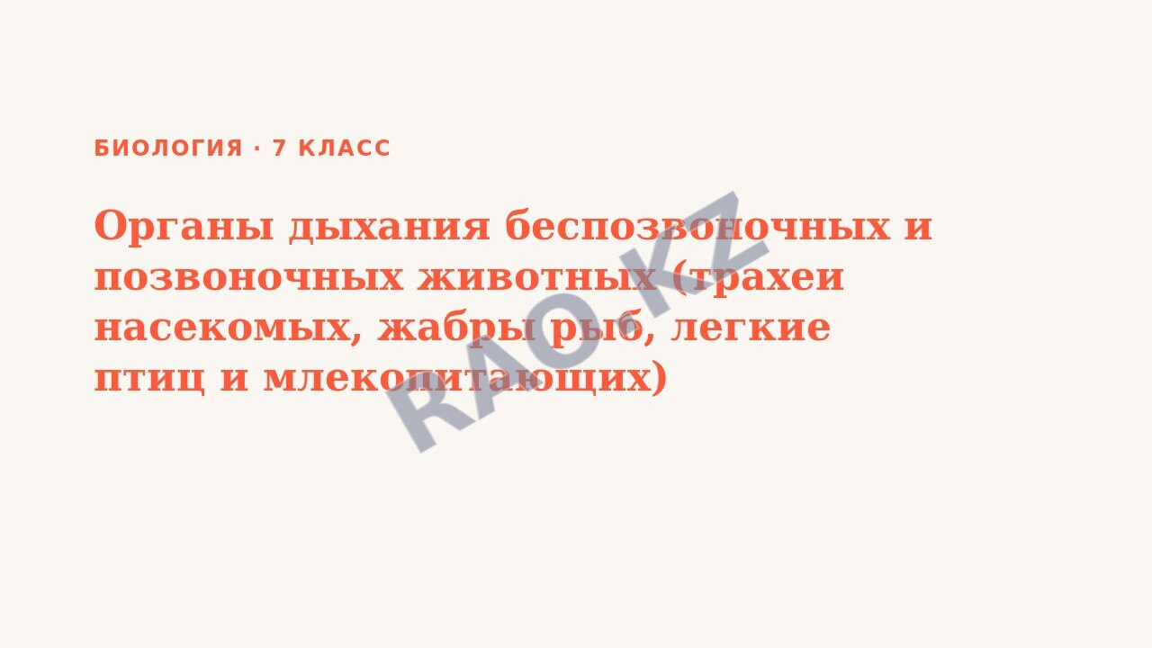Презентация Биология 7 класс Органы дыхания беспозвоночных и позвоночных животных (трахеи насекомых, жабры рыб, легкие птиц и млекопитающих) Моделирование «Сравнение органов дыхания беспозвоночных и п