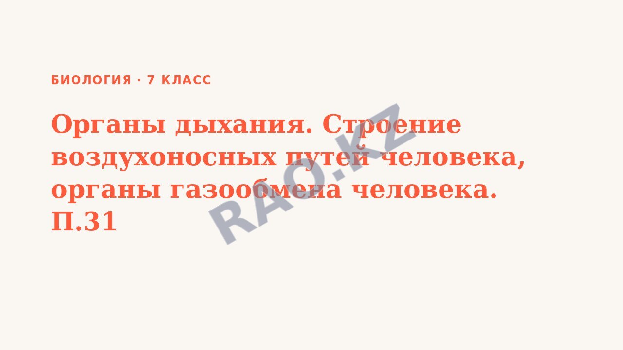 Презентация Биология 7 класс Органы дыхания. Строение воздухоносных путей человека, органы газообмена человека. П.31