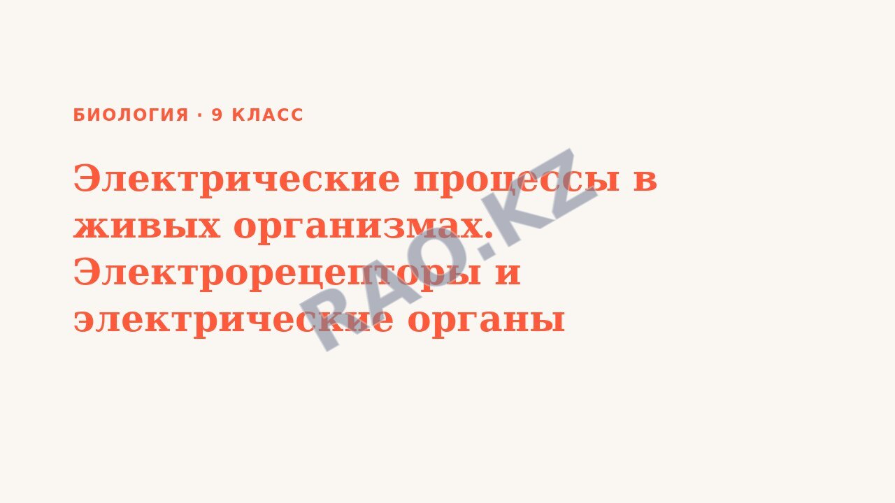 Презентация Биология 9 класс Электрические процессы в живых организмах. Электрорецепторы и электрические органы