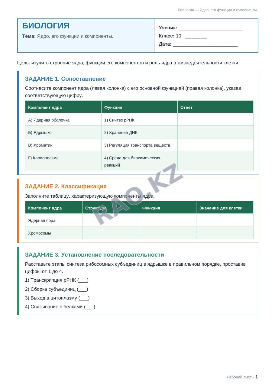 Рабочий лист Биология 10 класс 1 четверть Ядро, его функции и компоненты.