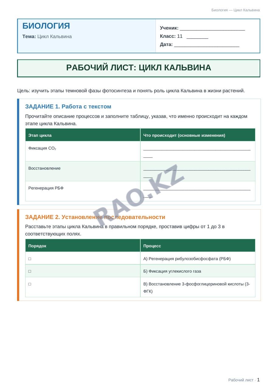 Рабочий лист Биология 11 класс 1 четверть Цикл Кальвина