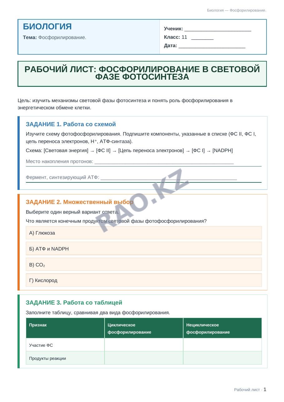 Рабочий лист Биология 11 класс 1 четверть Фосфорилирование.