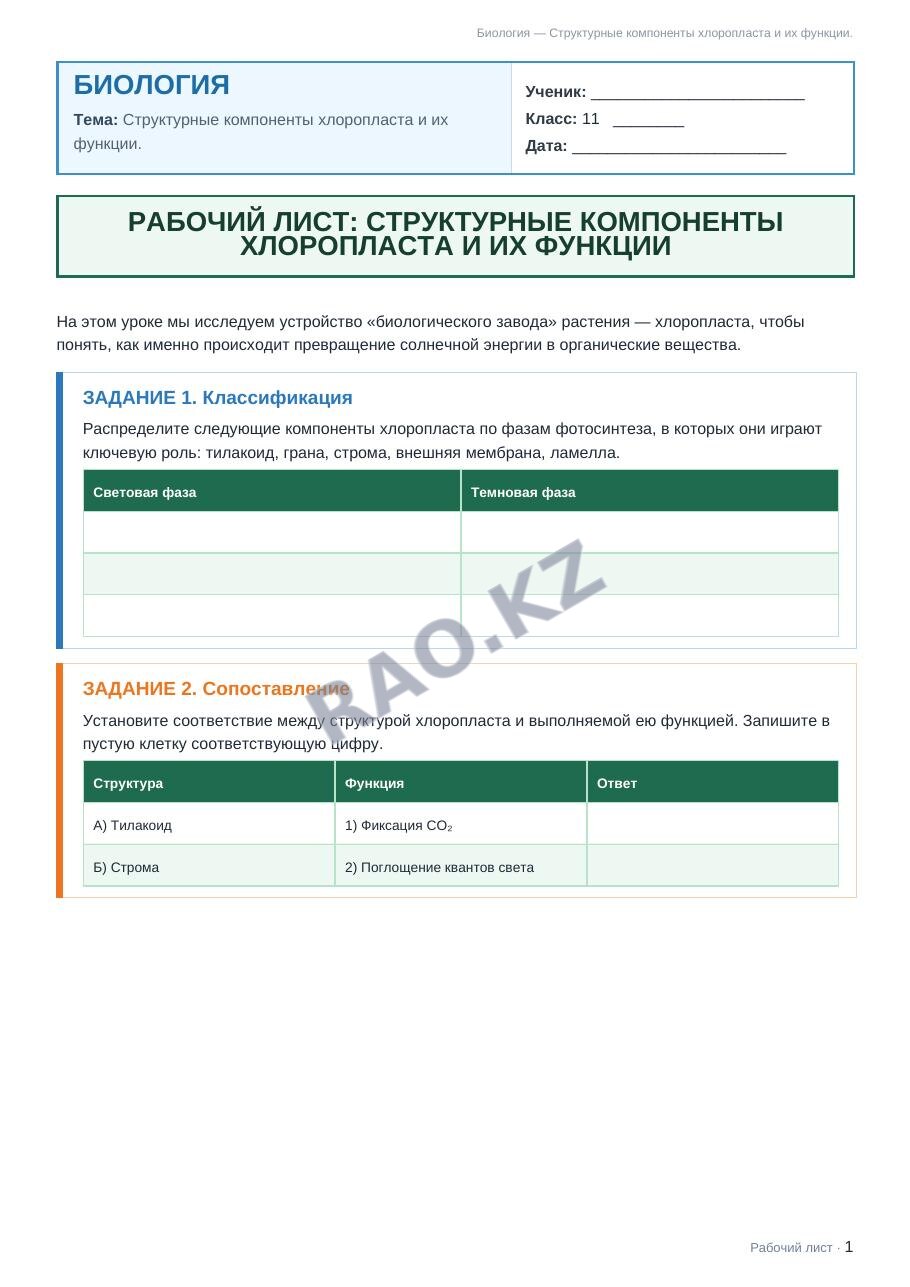 Рабочий лист Биология 11 класс 1 четверть Структурные компоненты хлоропласта и их функции.