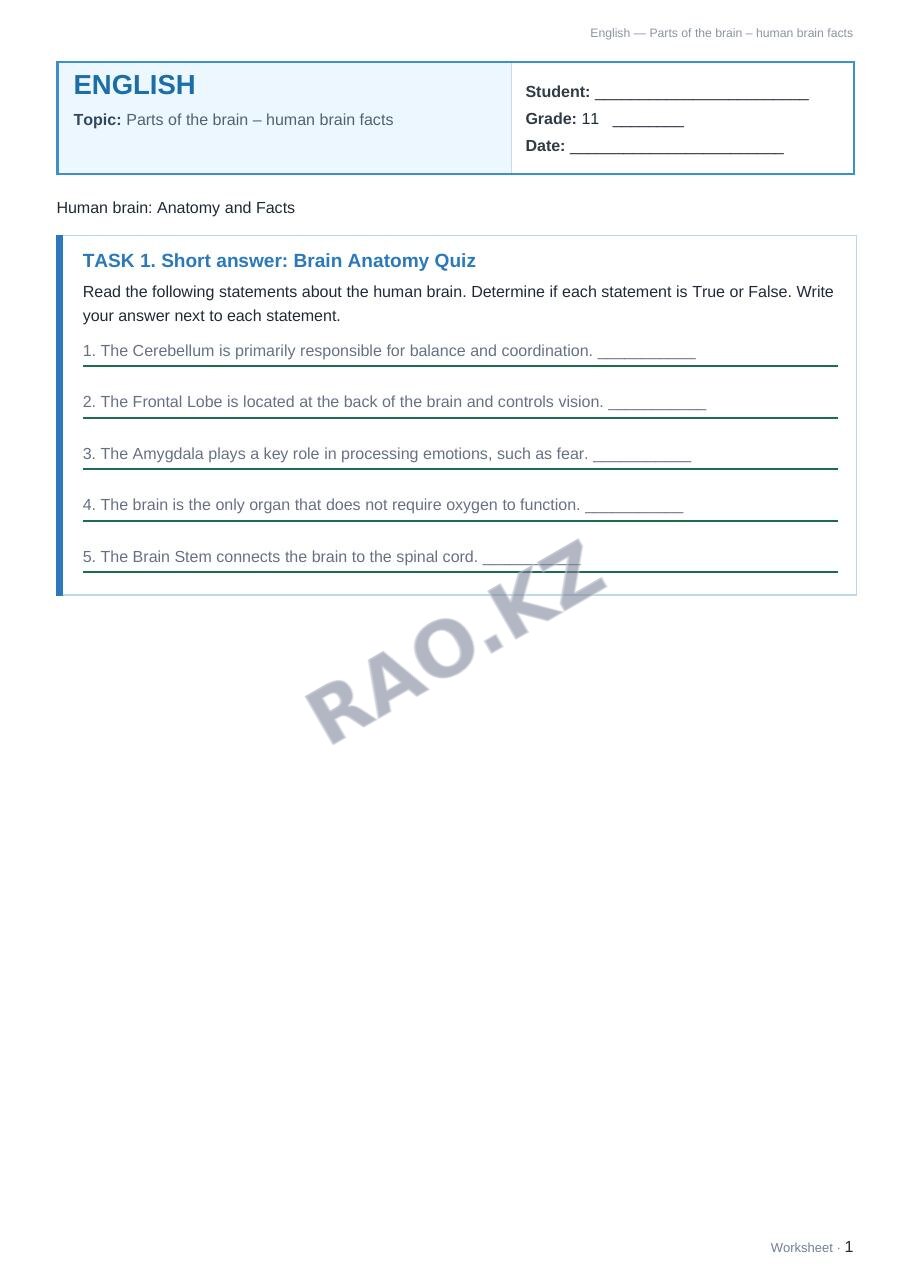 Worksheet English Grade 11 Term 1: Parts of the brain – human brain facts