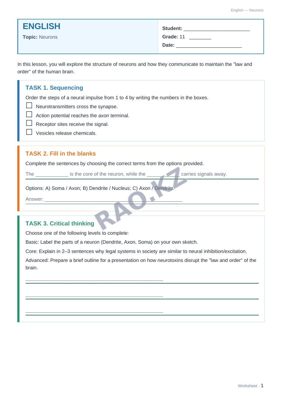 Worksheet English Grade 11 Term 2: Neurons