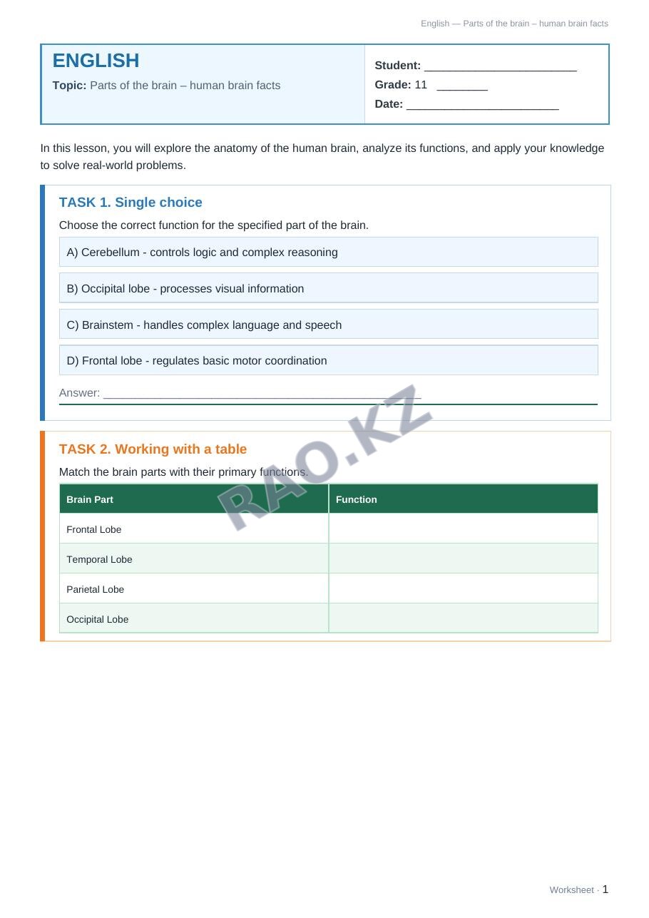 Worksheet English Grade 11 Term 2: Parts of the brain – human brain facts